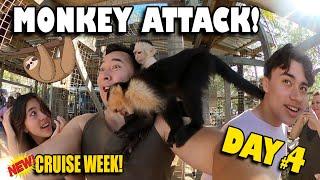 MONKEYS ATTACKED MY DAD Sloths Monkeys Iguanas & Horses in Roatan Honduras  Cruise Week DAY #4