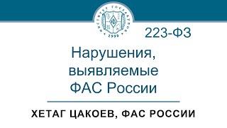 Основные нарушения выявляемые ФАС России при контроле по Закону № 223-ФЗ 09.11.2023