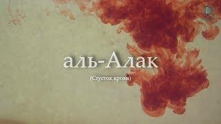 Очень красивое чтение суры аль-Аляк العلق Сгусток крови Омар Хишам аль-Араби