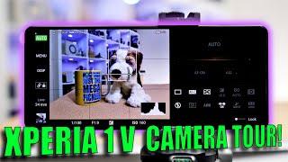 Sony XPERIA 1 V Camera Tour Three Apps Are Better Than One?