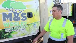 3 Trucks Every Tree Service NEEDS  Best Arborist Business Trucks  Tree Service Trucks 003