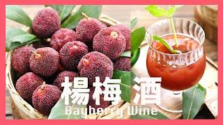 Homemade Chinese Bayberry Wine Natural Brewing @beanpandacook