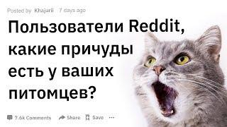 ПОЛЬЗОВАТЕЛИ REDDIT КАКИЕ ПРИЧУДЫ ЕСТЬ У ВАШИХ ДОМАШНИХ ПИТОМЦЕВ  АПВОУТ