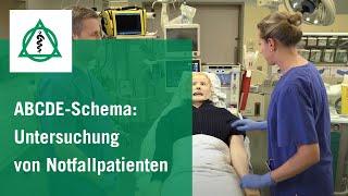 ABCDE Schema strukturierte Untersuchung von Notfallpatienten  Asklepios