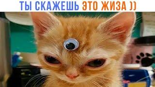 ЭТО ЖИЗА   Приколы  Мемозг 1365