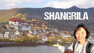 SHANGRILA - the Himalayan Utopia that turned Real I S2 EP76