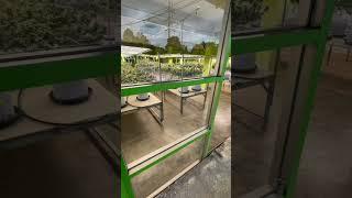 Cannabis shop in Thailand #rap #for #air #canada #thai #ganjam #love #hate #jawantrailer #jawan #jj