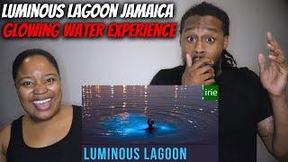 GLOWING WATER American Couple ReactsJamaicas Luminous Lagoon Glowing Water Experience