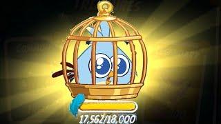 Angry Birds 2 - TREASURE OPENED YOU UNLOCKED LUCA WITH 20000 FEATHERS