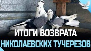 ИТОГИ ВОЗВРАТА ПОСЛЕ ЗАКРЫТИЯ ТУЧАМИ НИКОЛАЕВСКИХ ТУЧЕРЕЗОВ