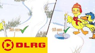 DLRG Eisregeln