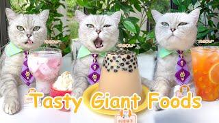 【Chef Cat Cooking】Cats Creative Food Ideas  Candy&Drinks  Chef Cat Cooking TIKTOK 2022