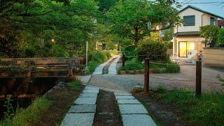 Quiet Dawn Walk along Philosophers Path  Kyoto Japan 4K Morning Ambience