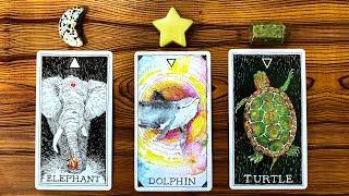 GOD LEAD YOU TO THIS READING BECAUSE YOU NEED TO HEAR THIS 🫶 Pick a Card Tarot Reading