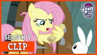Fluttershy and Angels Relationship Gets Strained She Talks to Angel  MLP FiM HD
