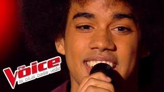 Gloria Gaynor – I Am What I Am  Gwendal Marimoutou  The Voice France 2014  Blind Audition