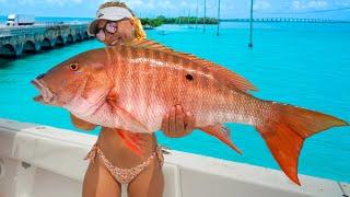 Newbie GF Hooks Dream Fish in Florida Keys Catch Clean & Cook