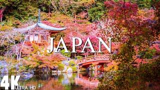 24 HOURS DRONE FILM JAPAN in 4K + Relaxation Film 4K  Nature Relaxation Ambient