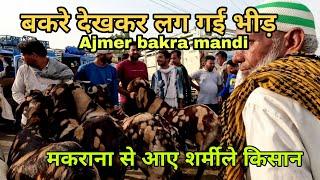 मकराना के किसानों के बकरे देखकर लग गई भीड़  bakra mandi ajmer  sirohi bakra mandi  pkraj vlogs