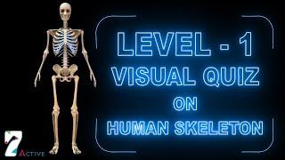 Visual Quiz on Human Skeleton Level - 1