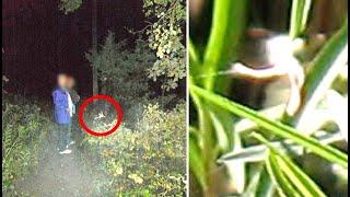 This Woman Was Able To Capture The Clearest Images Of A Fairy Ever Taken