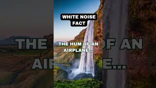 The Hum of an #Airplane #youtubeshorts #whitenoise