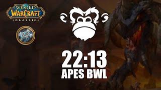 APES BWL 2213 - Priest POV