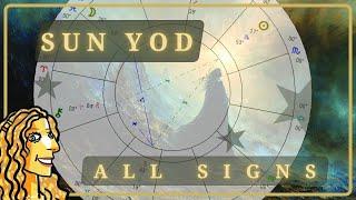 Truly Unique Sun Yod  All Signs  November 9th - 15th  Weekly Astrology