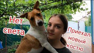 VLOG Выключили свет.Нечем занятьсяиграем с Оскаром.Приехал новый костюм для Вики.