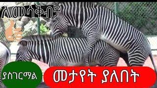 ethio ለመሳቅ