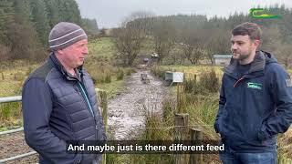 Barry OHagan - Organic Sheep Farmer