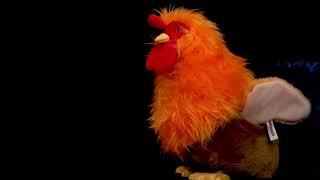 The Remake of Rikki Rooster from Baby Mozart 27th Anniversary Special