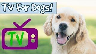 Dog Chill Out TV Entertainment for Bored Dogs Nature Visuals Combined with Relaxing Music for Dogs