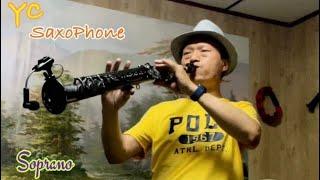 張清芳 我還年輕 降E轉F調高音薩克斯風 ​⁠@YC_Sax  --Cover by Soprano Saxophone