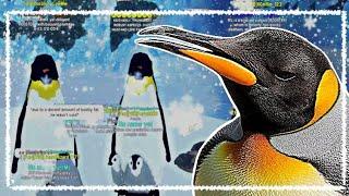 Penguin realism  Feather Family Roblox 4K