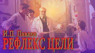 РЕФЛЕКС ЦЕЛИ ● И.П. Павлов