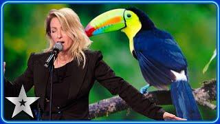 Geneviève Côté wows Judges with UNREAL animal impressions  Auditions  BGT 2024