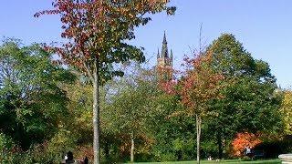 Kelvingrove Park  Autumn colours - Glasgow Scotland