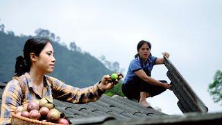 The journey to harvest star apple and face the challenge of a stormy night