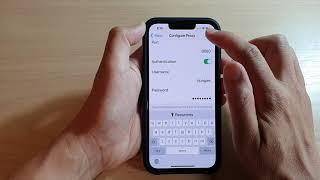 iPhone 1313 Pro How to Set Proxy Server Configuration for Wifi Connection