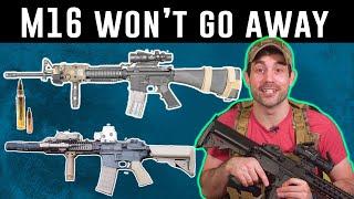Why the US Armys M16 rifle cant be replaced