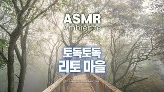 모험의 주인공 바로 당신의 이야기젤다의 전설 비내리는 안개 속 리토 마을 ASMR 공부할 때 자기전에 듣는 앰비언스