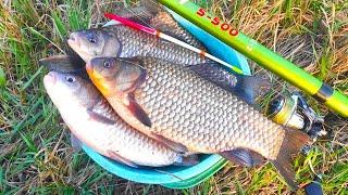 CARP SHOVELS do not climb into the bucket Fishing on a float in the spring