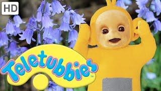 Teletubbies Bluebells - Full Episode