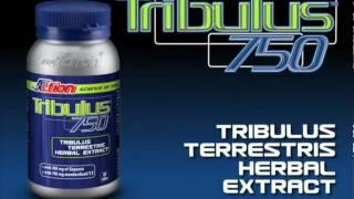 PROACTION - Tribulus 750