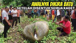 kejadian di nganjuk yang lagi viral AWALNYA DIKIRA BATU