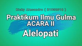 Praktikum Ilmu Gulma Alelopati #gulma #pertanian