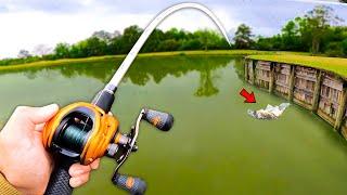 Fishing for GIANT Bass w Topwater in SMALL Ponds LOADED