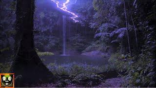 Jungle Thunderstorm at Night  Rain Thunder and Animal Sounds for Sleeping Studying Relaxing