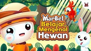 Belajar Mengenal Hewan   Animasi Untuk Batita dan Balita Indonesia